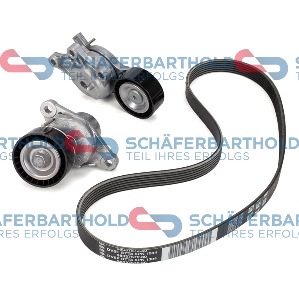 V-Ribbed Belt Set (310 27 470 01 11)