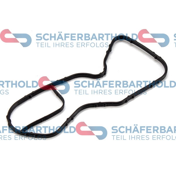 Seal, coolant pipe (313 28 006 01 11)