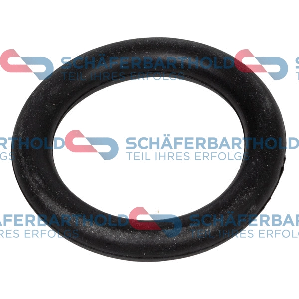 Gasket, intake manifold (313 27 910 01 11)