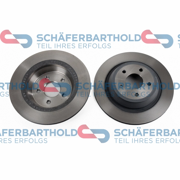 Brake Disc (315 06 336 01 11)