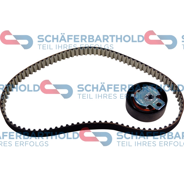Timing Belt Kit (300 06 375 01 11)