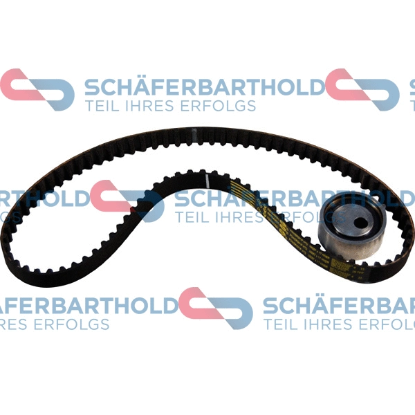 Timing Belt Kit (310 28 502 01 11)