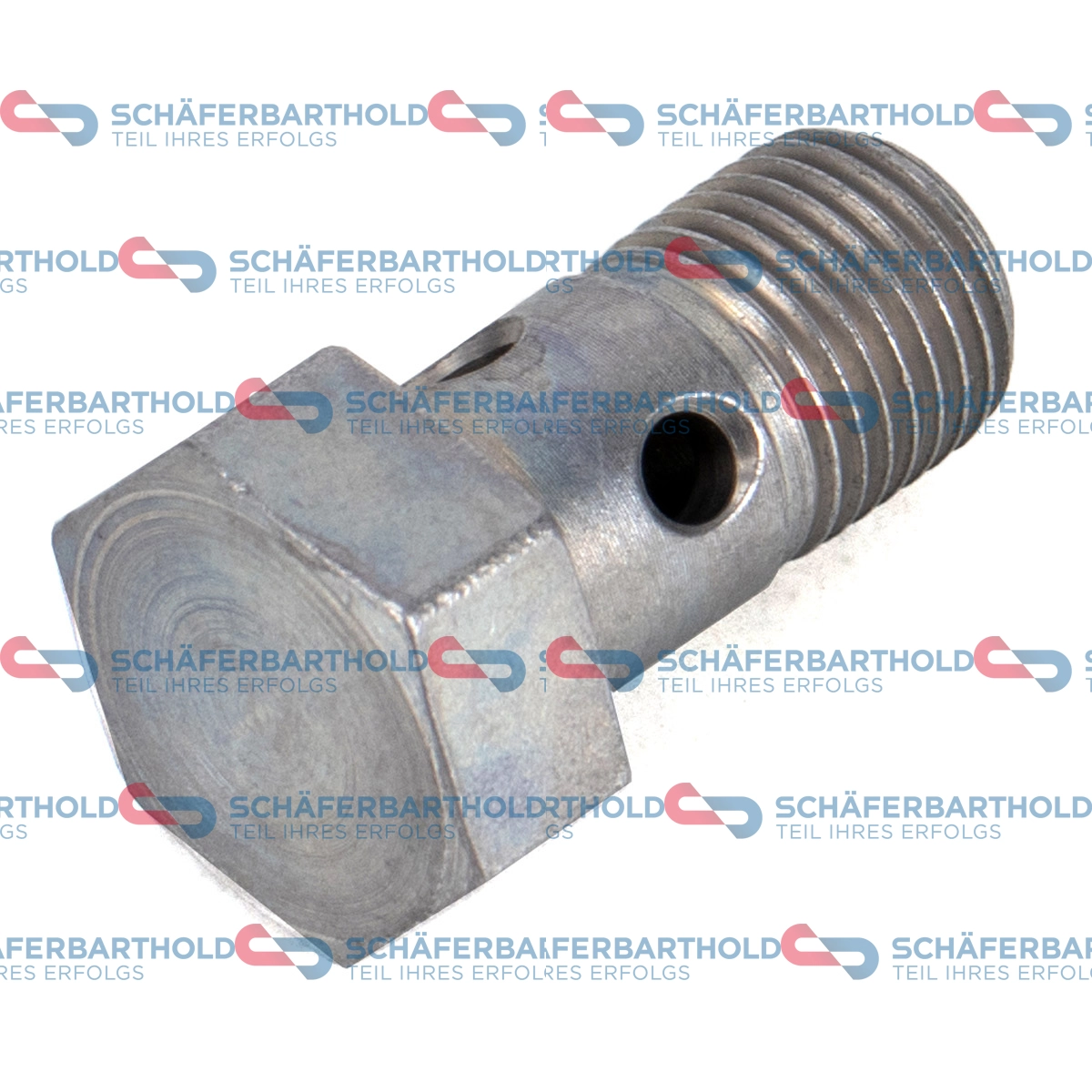 Banjo Bolt, charger (100 02 024 01 22)