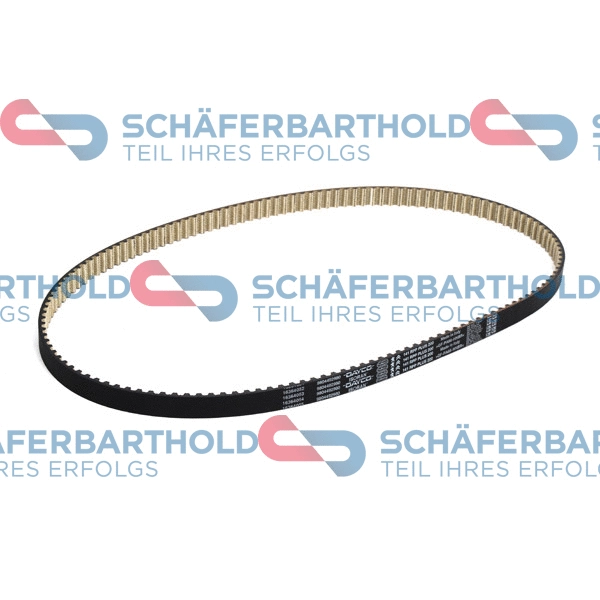 Timing Belt (300 27 867 01 11)