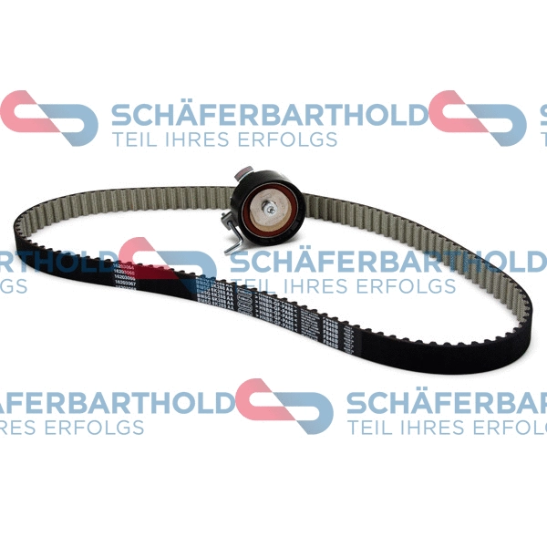 Timing Belt Kit (300 38 313 01 11)