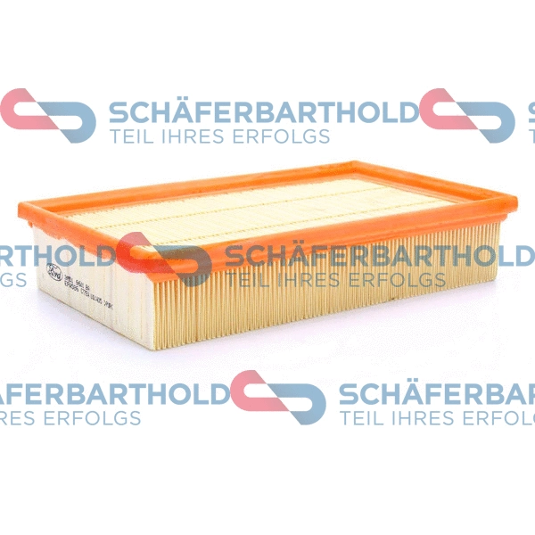 Air Filter (310 06 263 01 11)