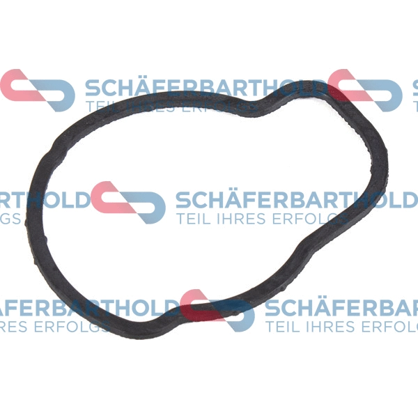 Seal, thermostat (313 16 980 01 11)