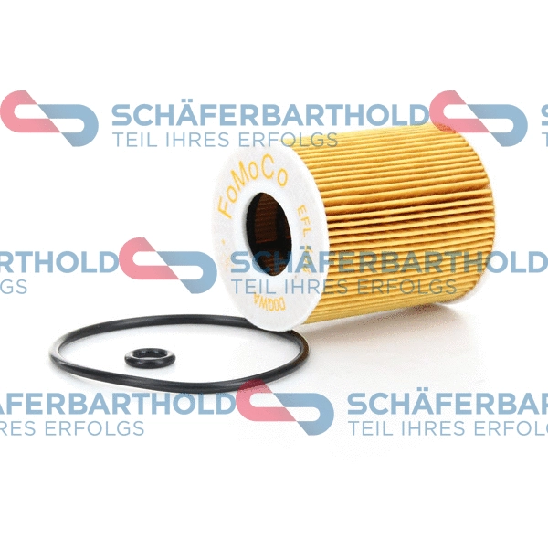 Oil Filter (310 06 203 01 11)