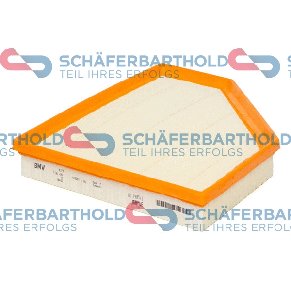 Air Filter (310 02 244 01 11)