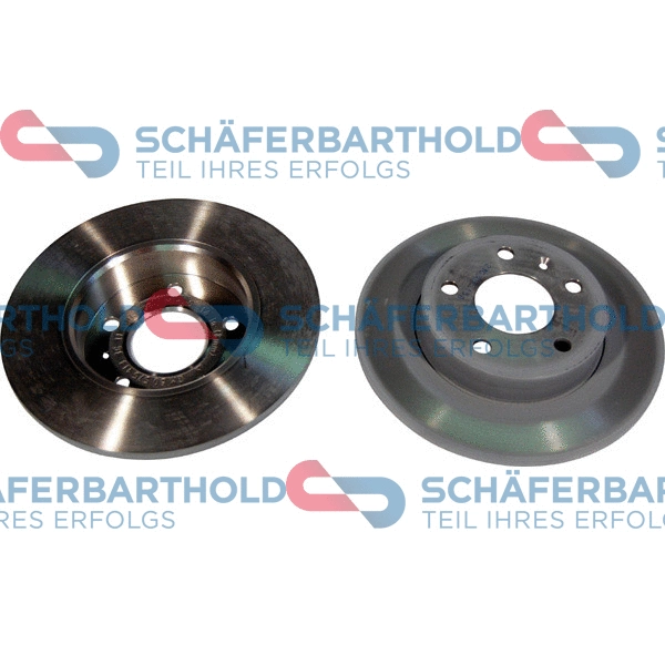 Brake Disc (315 16 335 01 11)