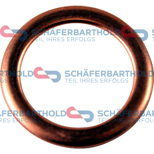 Seal Ring, oil drain plug (313 27 061 01 11)