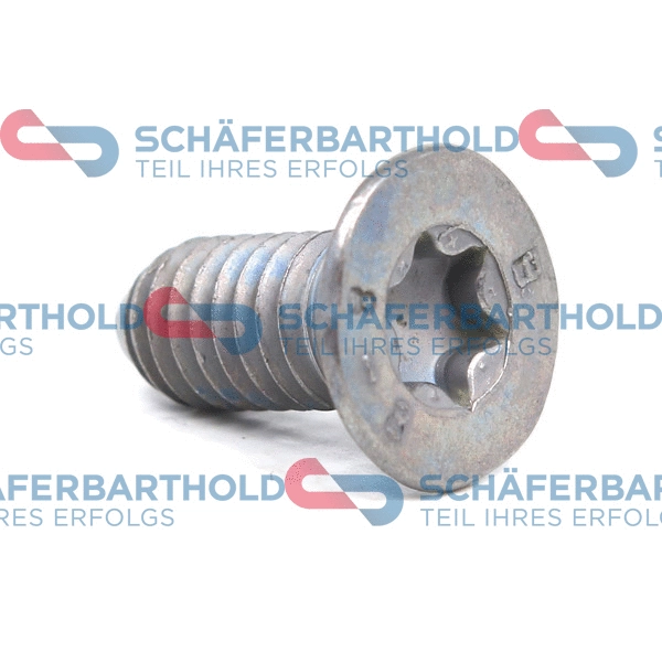 Bolt, brake disc (315 27 050 01 11)