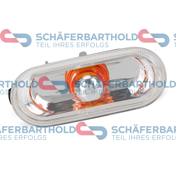 Direction Indicator (319 18 252 01 11)