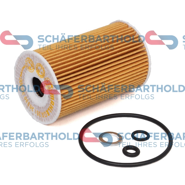 Oil Filter (310 39 013 01 11)