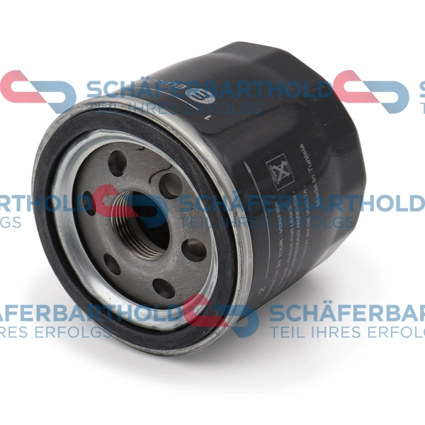 Oil Filter (310 27 868 01 11)