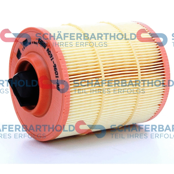 Air Filter (310 06 388 01 11)