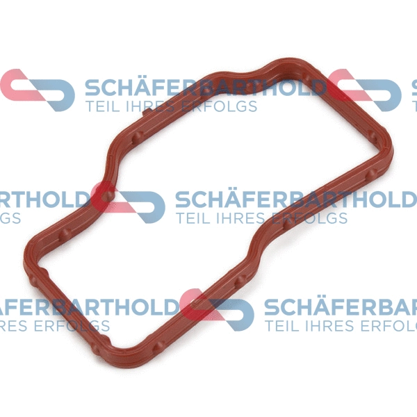 Gasket, thermostat housing (310 27 189 01 11)