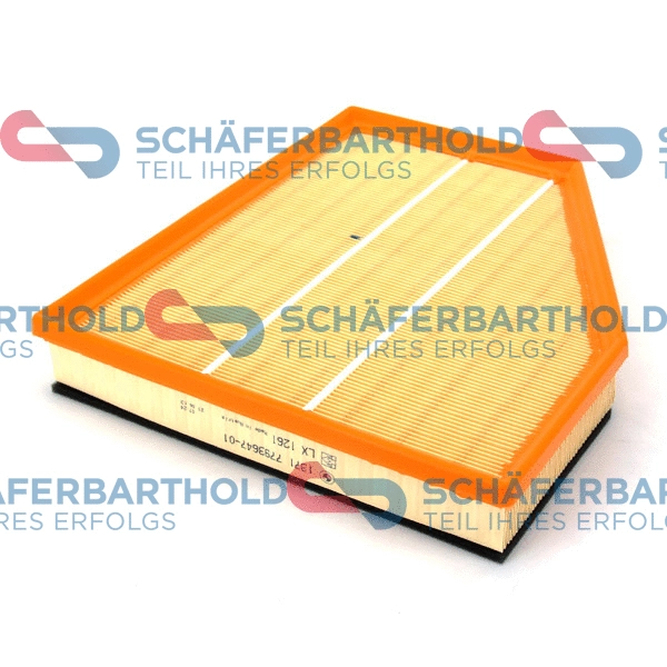 Air Filter (310 02 550 01 11)