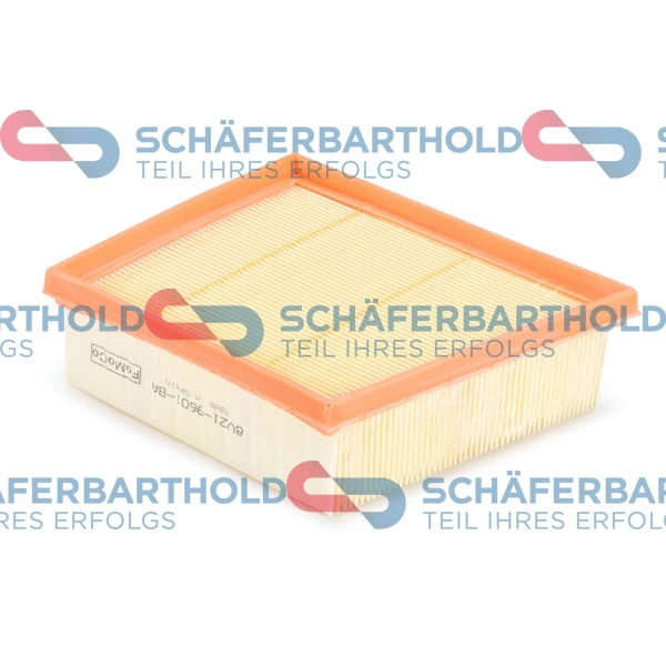 Air Filter (310 06 109 01 11)