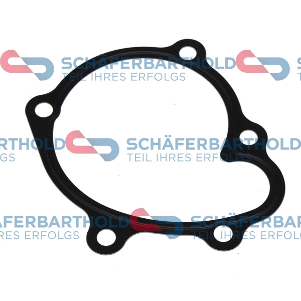 Gasket, water pump (313 16 440 01 11)