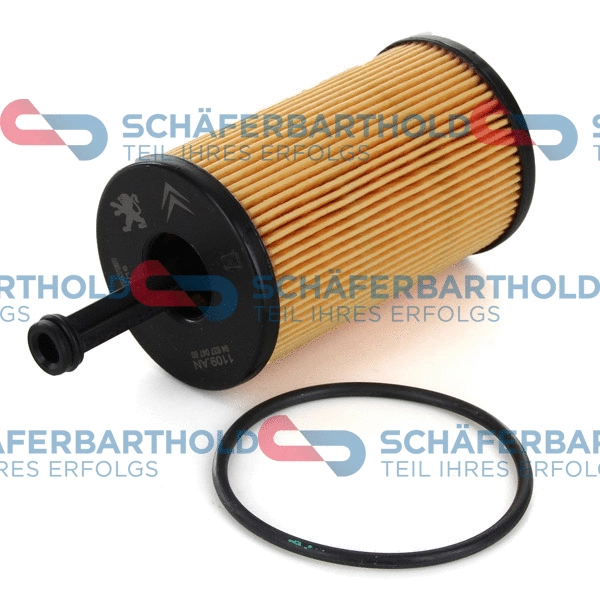 Oil Filter (310 26 145 01 11)