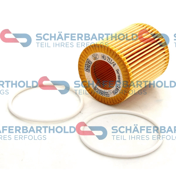Oil Filter (310 16 656 01 11)