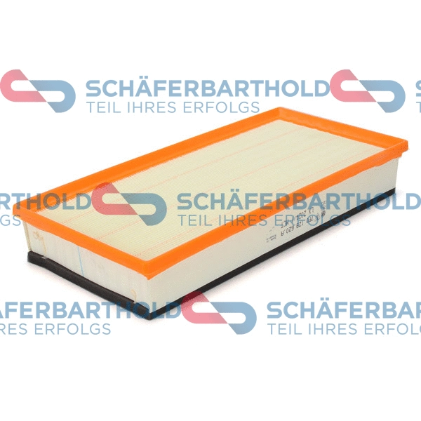 Air Filter (317 18 646 01 11)