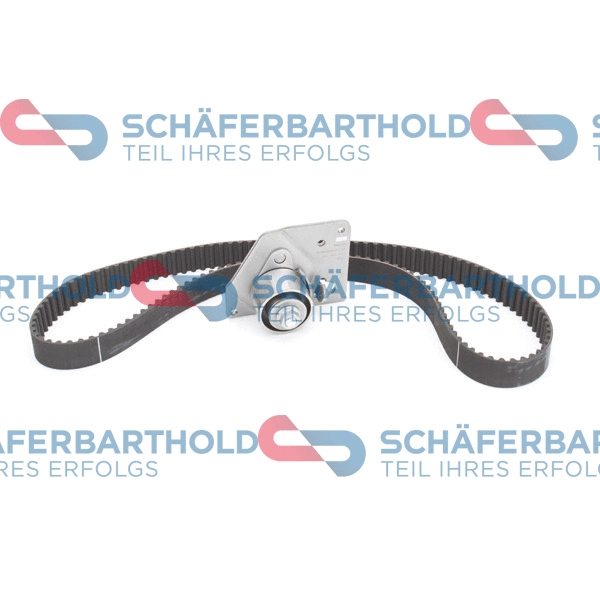 Timing Belt Kit (310 28 528 01 11)
