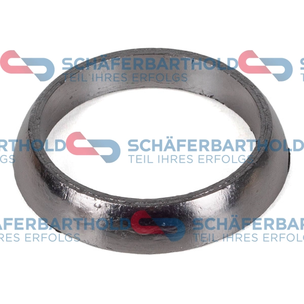 Seal Ring, charger (317 18 942 01 11)