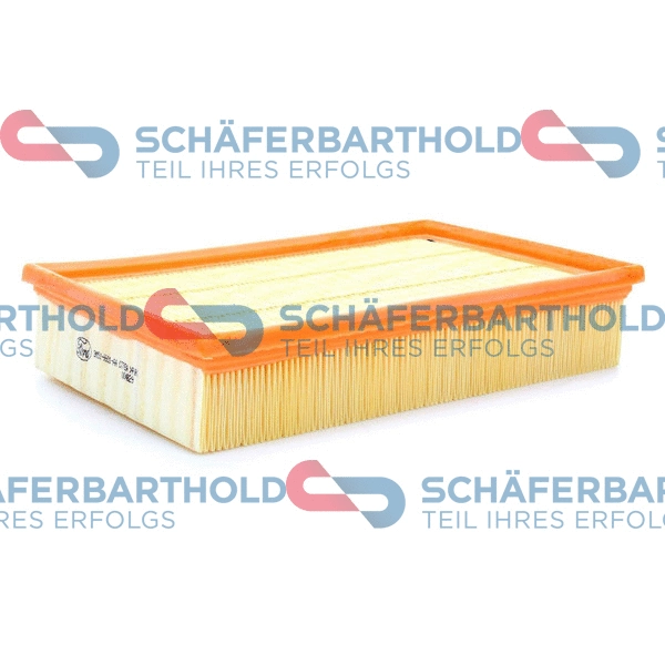 Air Filter (310 06 267 01 11)