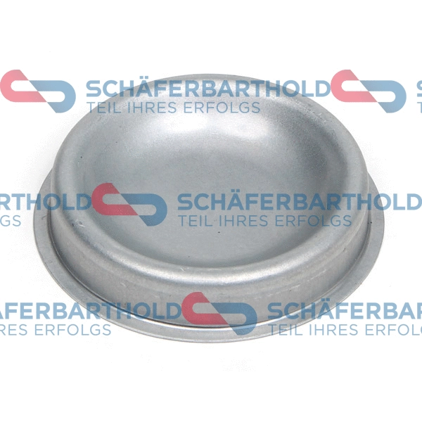 Protection Lid, wheel hub (100 27 001 01 11)