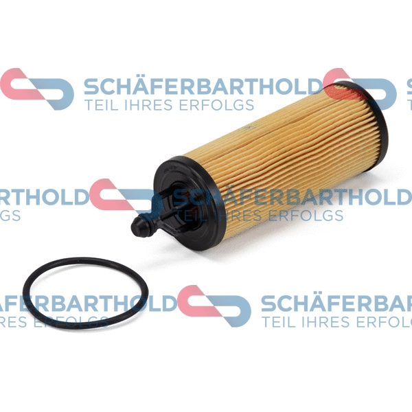 Oil Filter (310 08 167 01 11)