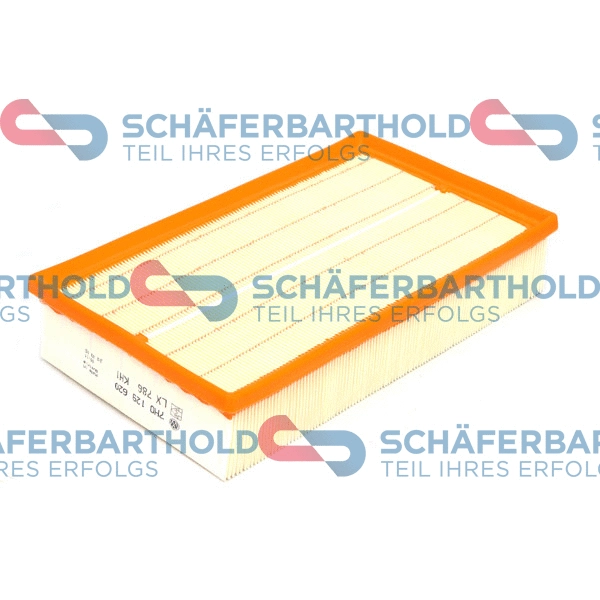 Air Filter (310 18 039 01 11)