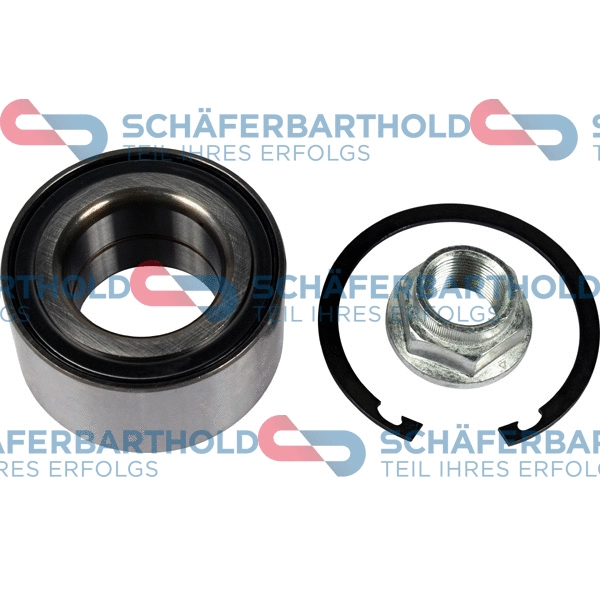 Wheel Bearing Kit (315 06 360 01 11)