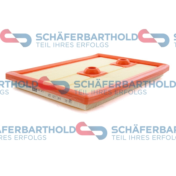 Air Filter (310 18 619 01 11)