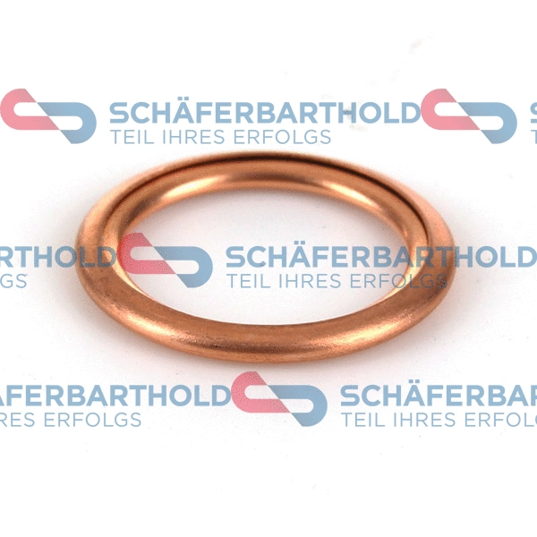 Seal Ring, oil drain plug (313 27 014 01 11)