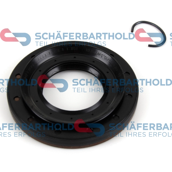 Shaft Seal, differential (313 02 419 01 11)