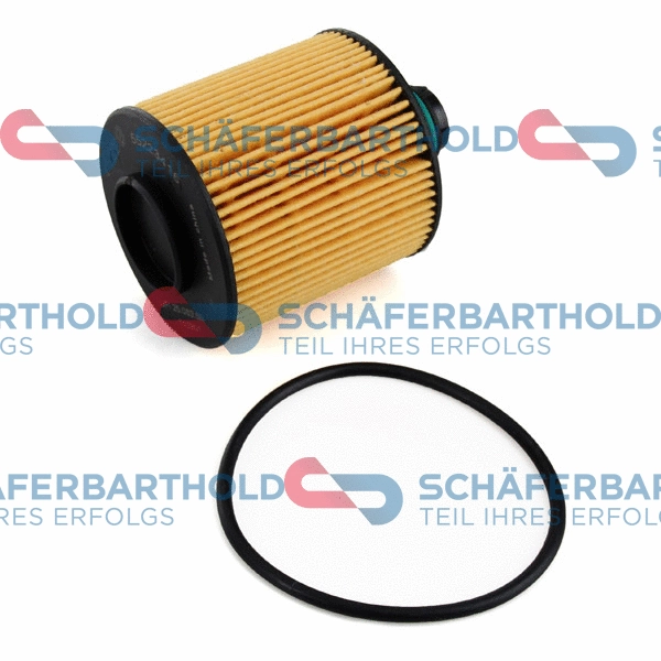 Oil Filter (310 08 153 01 11)