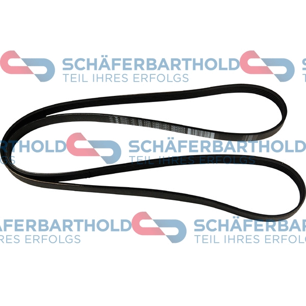 V-Ribbed Belt (300 28 817 01 11)