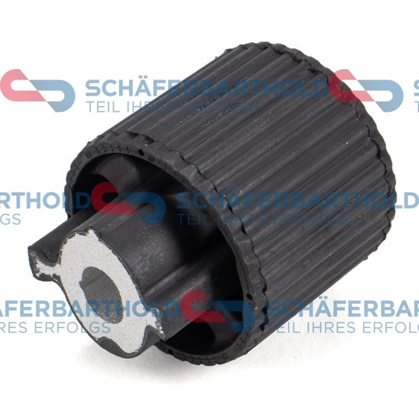 Bushing, axle beam (314 02 300 01 11)