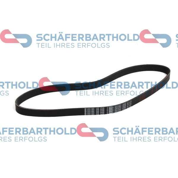 V-Ribbed Belt (300 18 827 01 11)