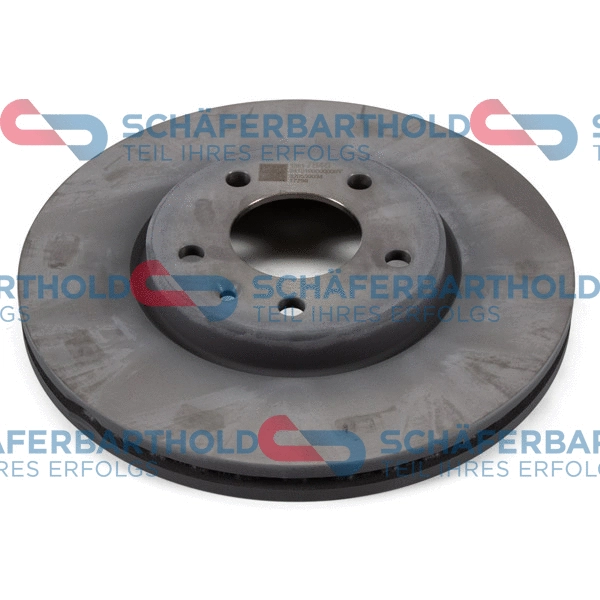 Brake Disc (315 16 570 01 11)