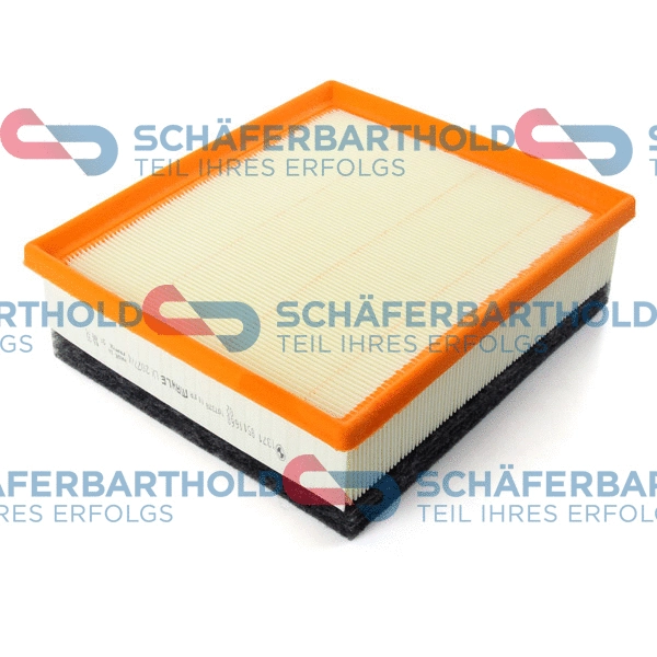Air Filter (310 02 597 01 11)
