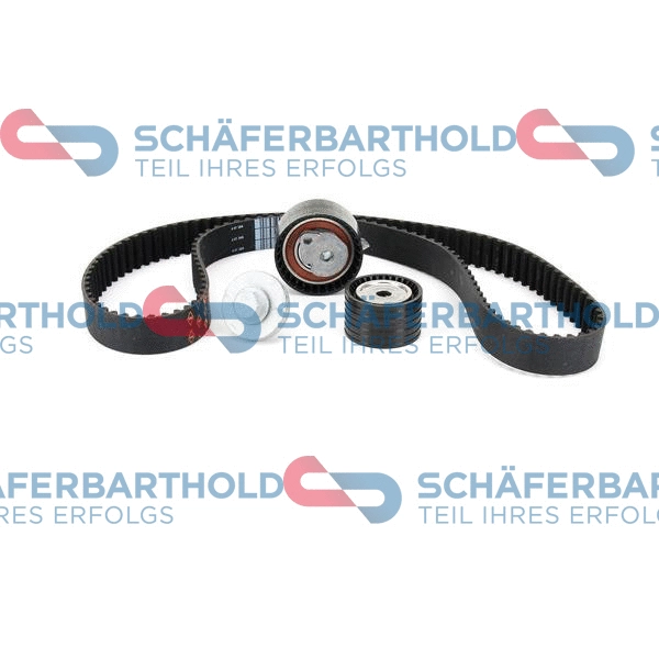 Timing Belt Kit (310 28 493 01 11)