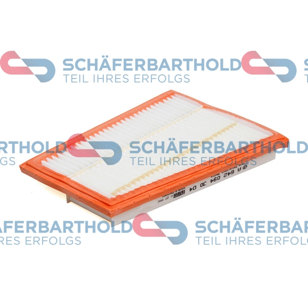 Air Filter (310 12 636 01 11)