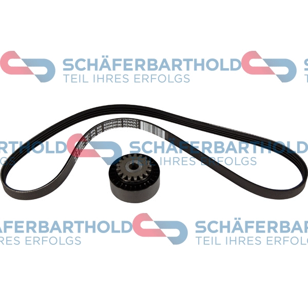 V-Ribbed Belt Set (310 28 585 01 11)