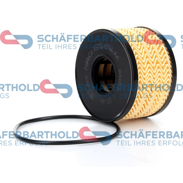 Oil Filter (310 06 224 01 11)
