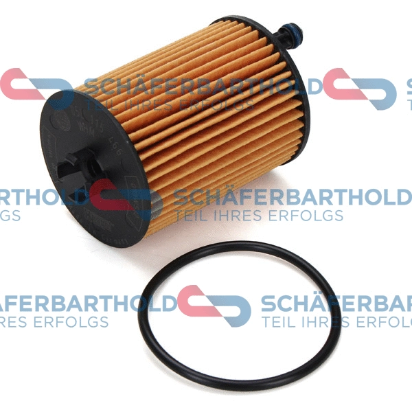 Oil Filter (310 18 171 01 11)