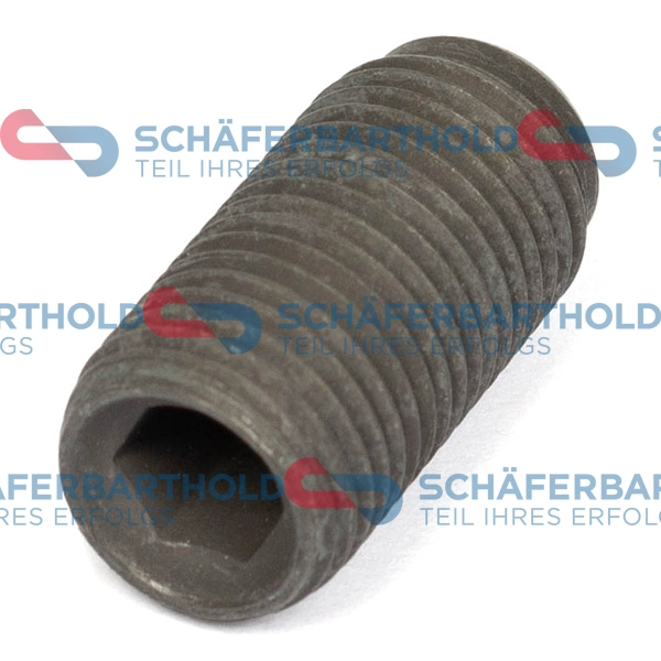 Adjustment Screw, injector pump (395 18 029 01 22)