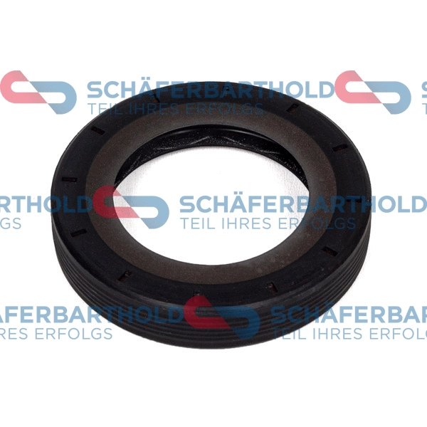 Shaft Seal, differential (313 27 403 01 11)